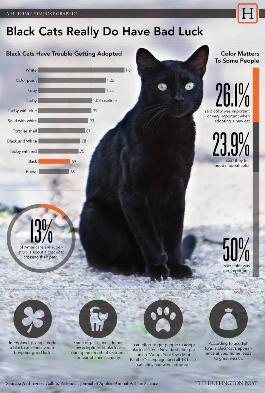 A chart about black cats having trouble getting adopted